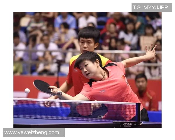 南京乒乓球队的节奏揭秘与深度分析探讨乒乓球的魅力与技巧